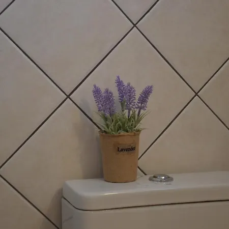 Apartment Cute In Milos *